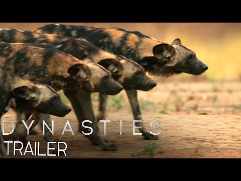 BBC Earth - Dynasties Trailer