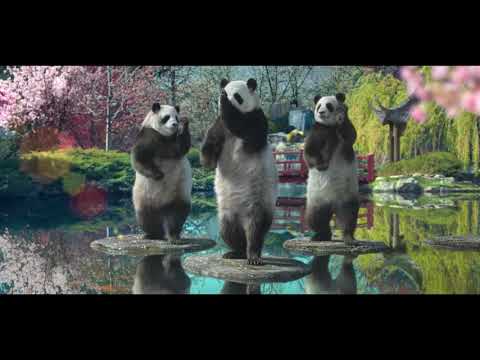 Sudocrem - Pandas Advert Music