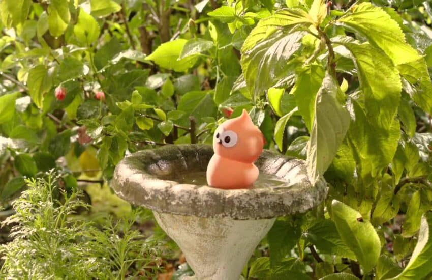 EDF Blue Price Promise - Zingy and the car