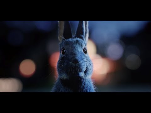 O2 Priority Tickets - Follow the rabbit