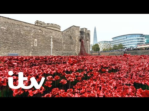 ITV Britain's Poppies - First World War Remembered