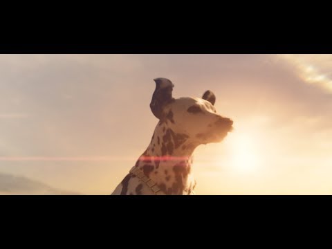 Budweiser - Wind Never Felt Better - Superbowl 2019