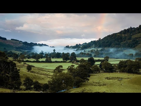 Starling Bank - Feeling Good Song