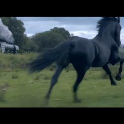 New Lloyds Bank Advert Music - Forever Forwards