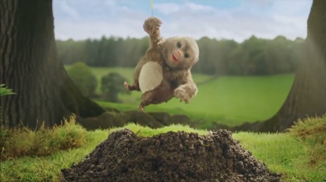 Ambrosia Mole Advert - Devon Knows