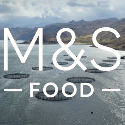 M&S Food Fresh Market Salmon - Advert Music