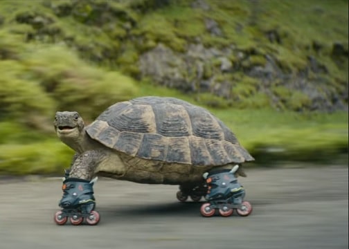 The Avanti West Coast advert tortoise