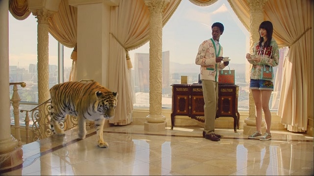 Gucci Tiger - Advert Music