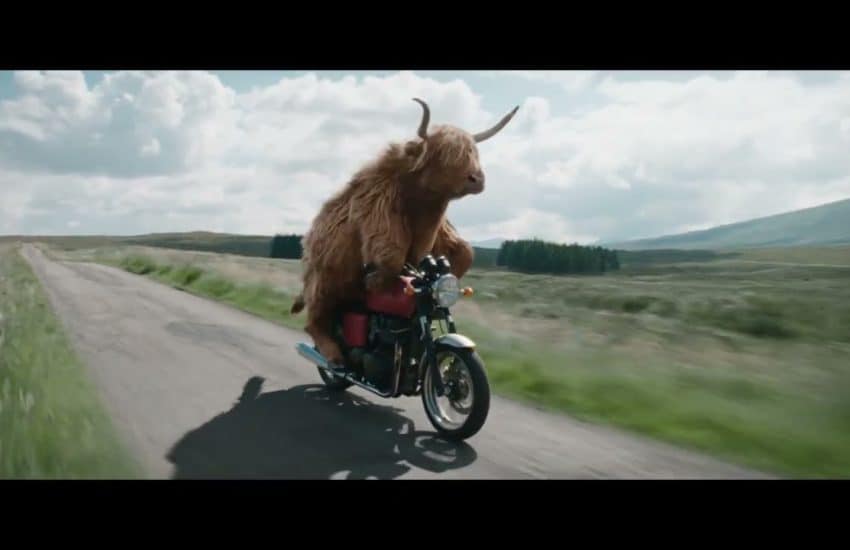 Virgin Media Advert Music - Cow Riding Motorbike